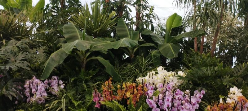 posjet-floraart-zagreb-uomd-6