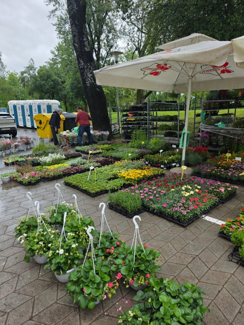 Posjet-Floraartu-uomd-rijeka-1
