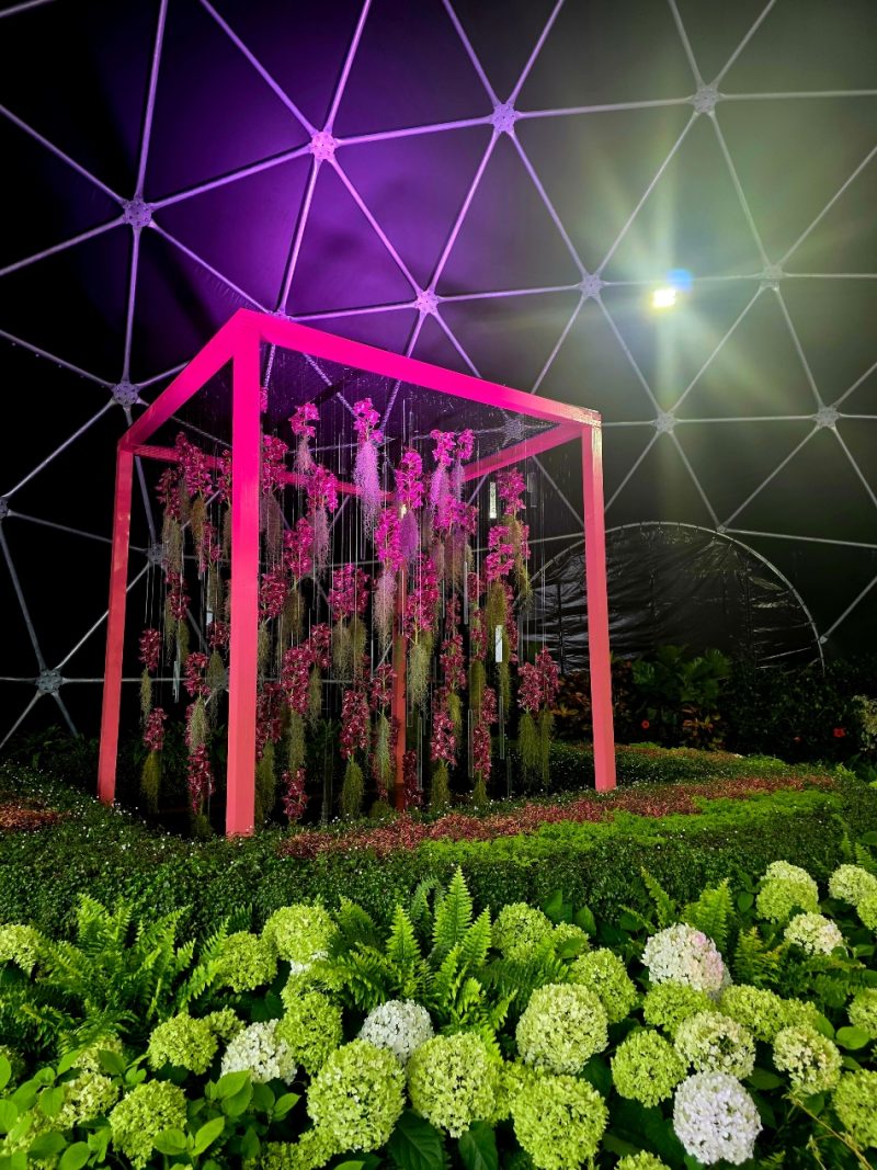 Posjet-Floraartu-uomd-rijeka-10