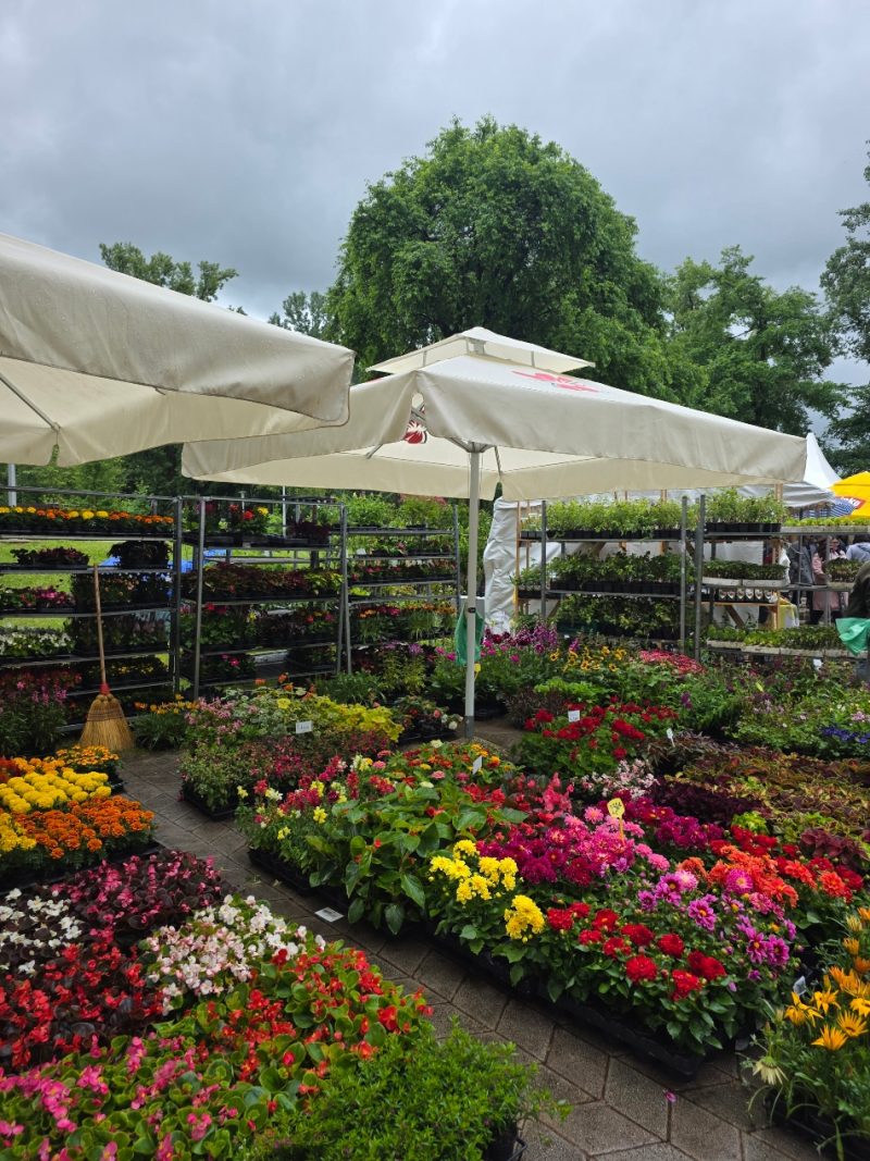 Posjet-Floraartu-uomd-rijeka-2